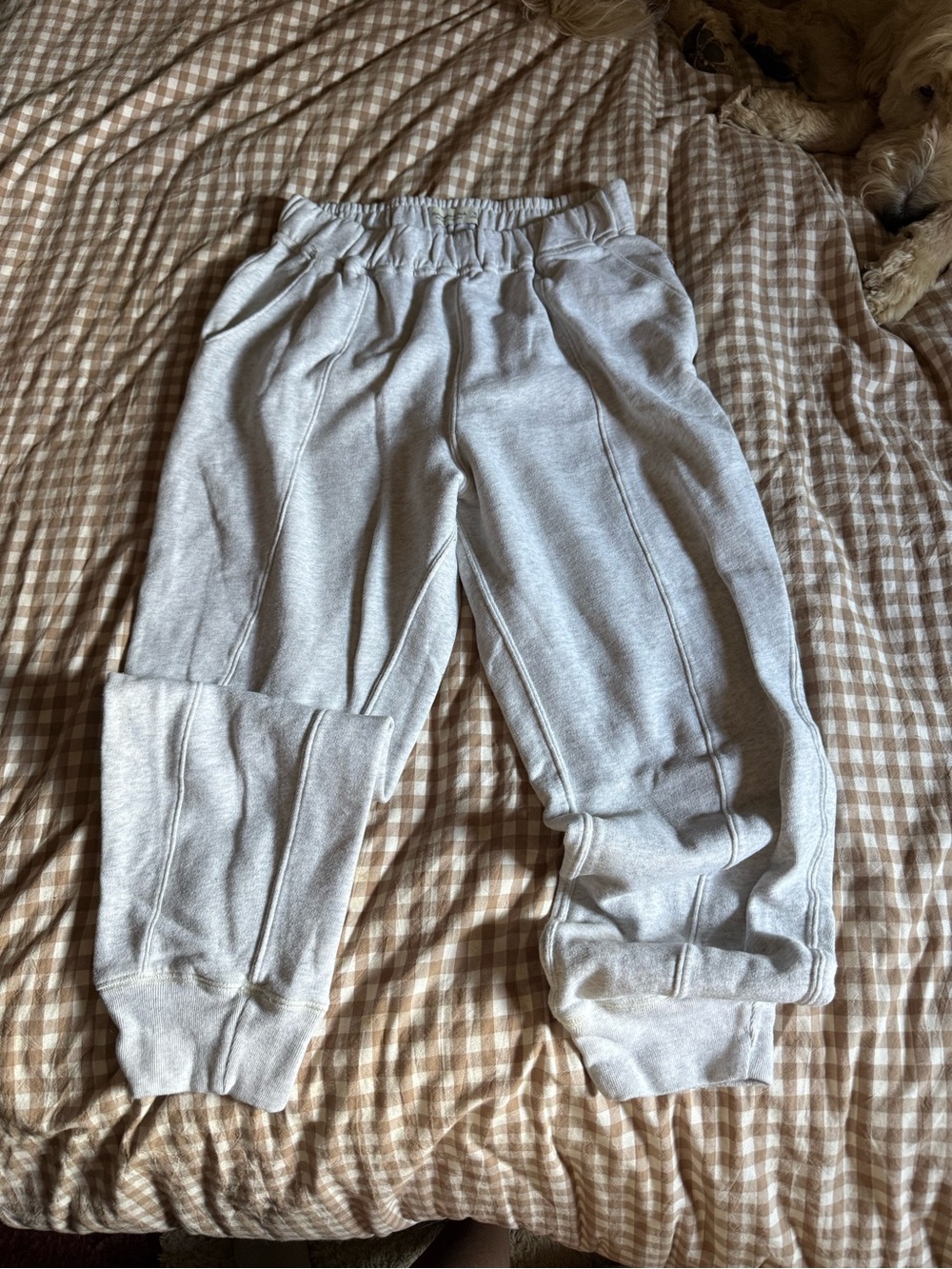 Abercrombie & Fitch Light Gray Women's Jogger Track Pants